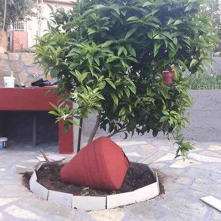 Maria Skála Marión