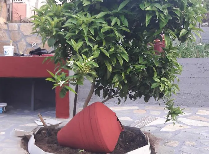 Maria Skála Marión